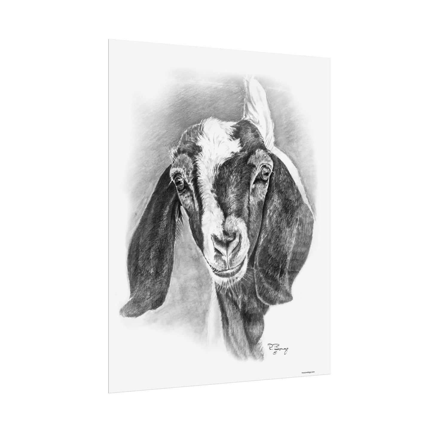 Boer Goat, Custom Print