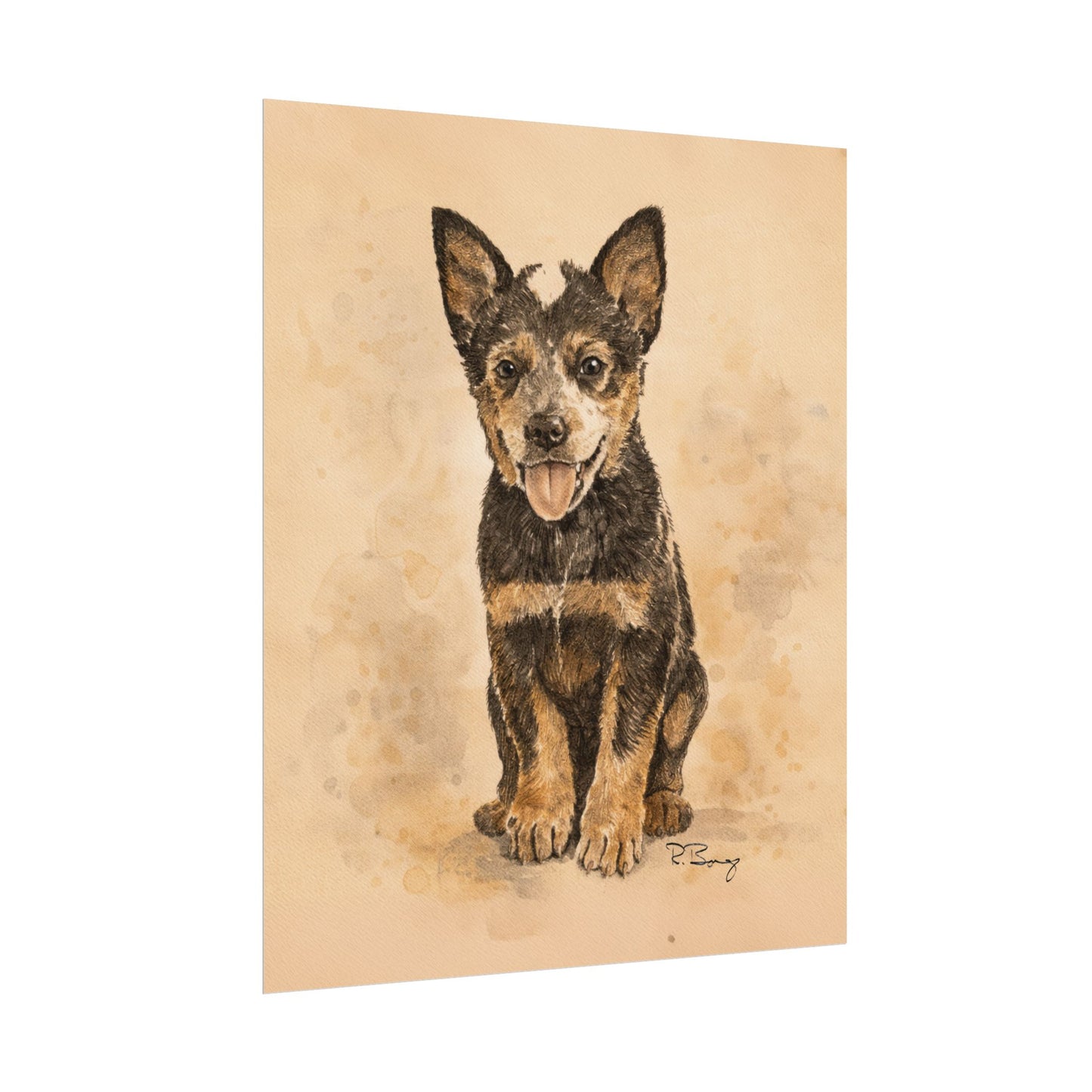 Heeler Puppy, Australian Cattle Dog, Archival Paper Print