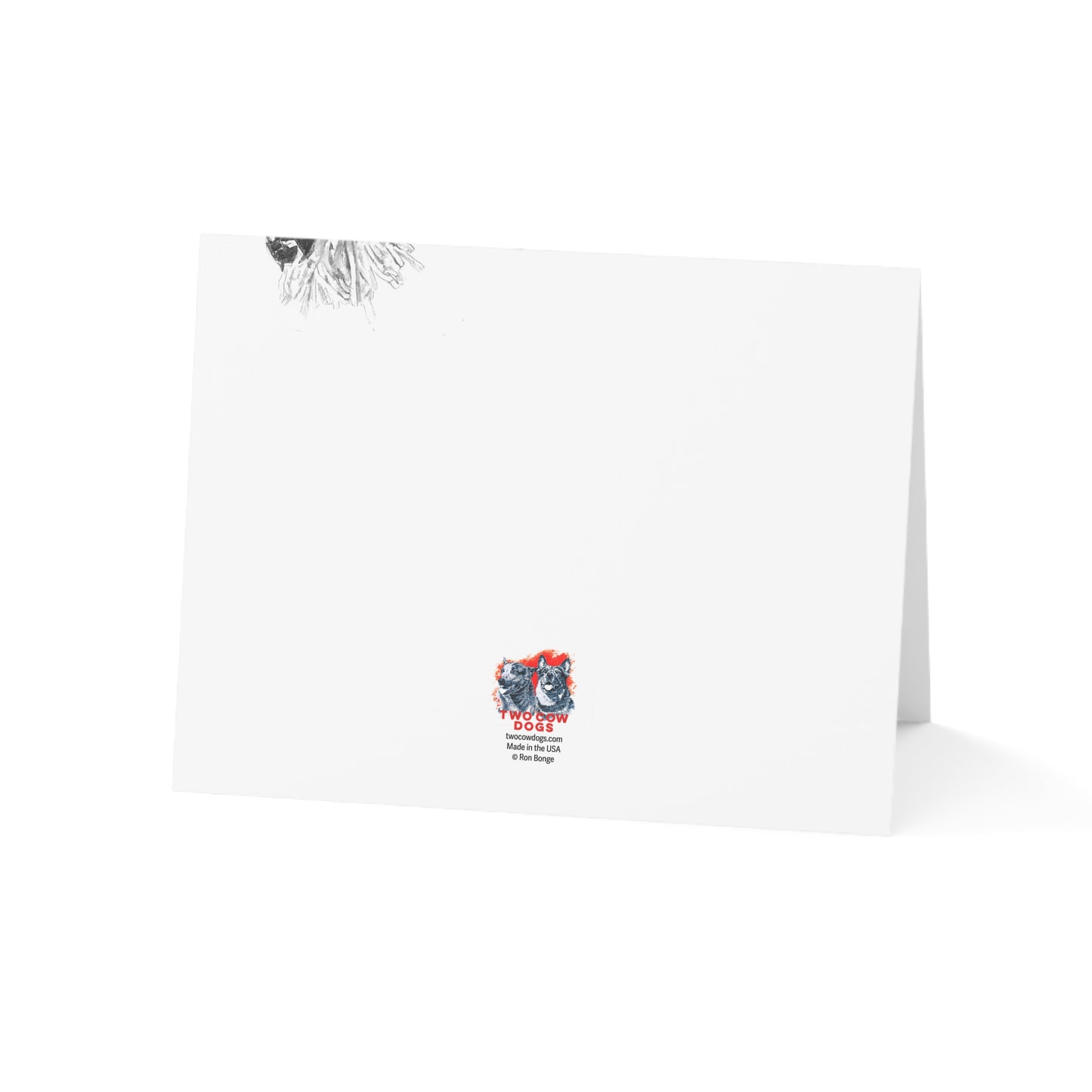 Bareback Jack Blank Notecards (envelopes included)