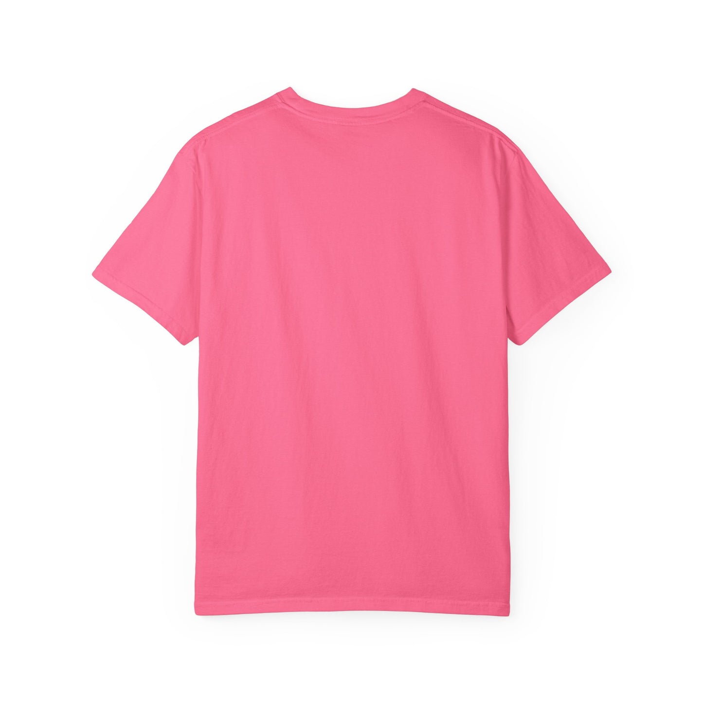 Holiday Armadillo Super Soft T-shirt