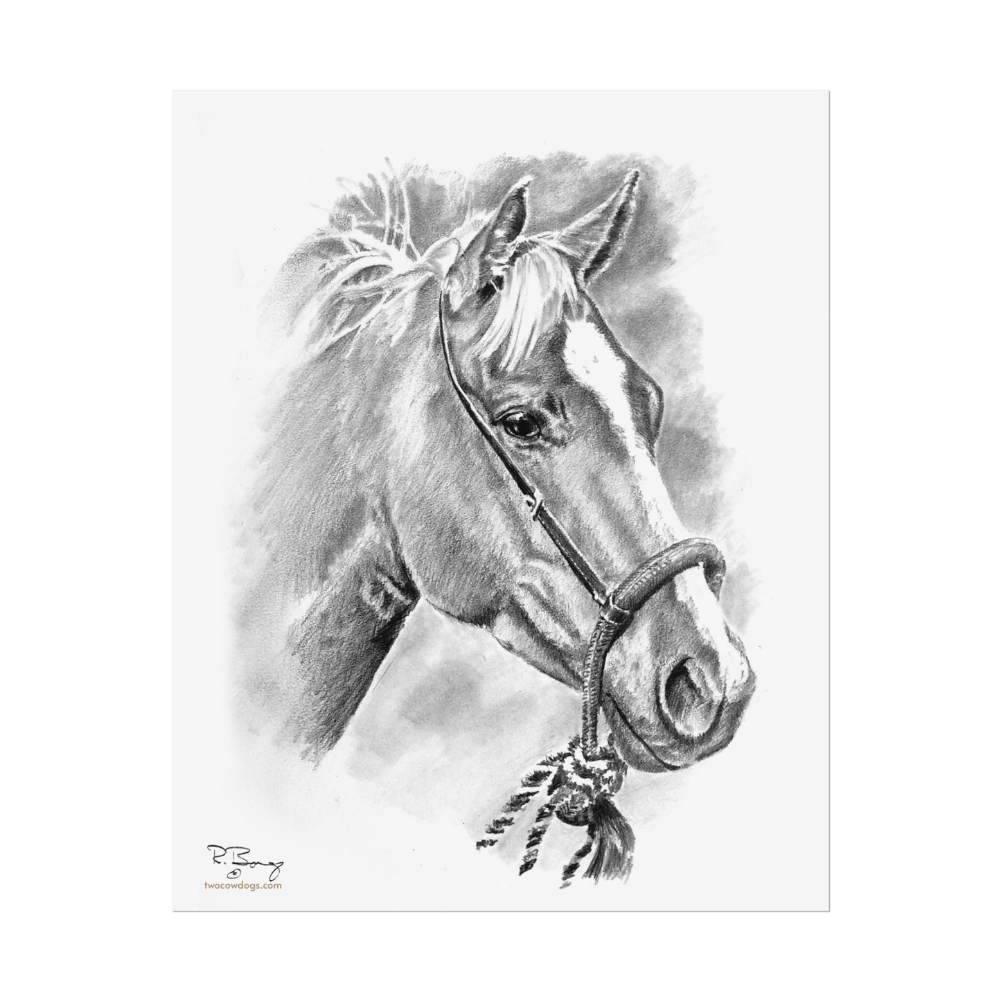 Vaquero Horse in Bosal Print