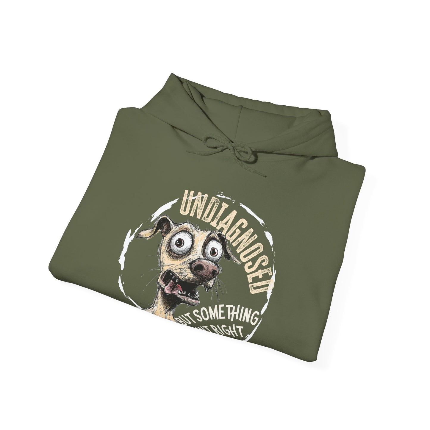 Undiagnosed But Aint Right Hoodie