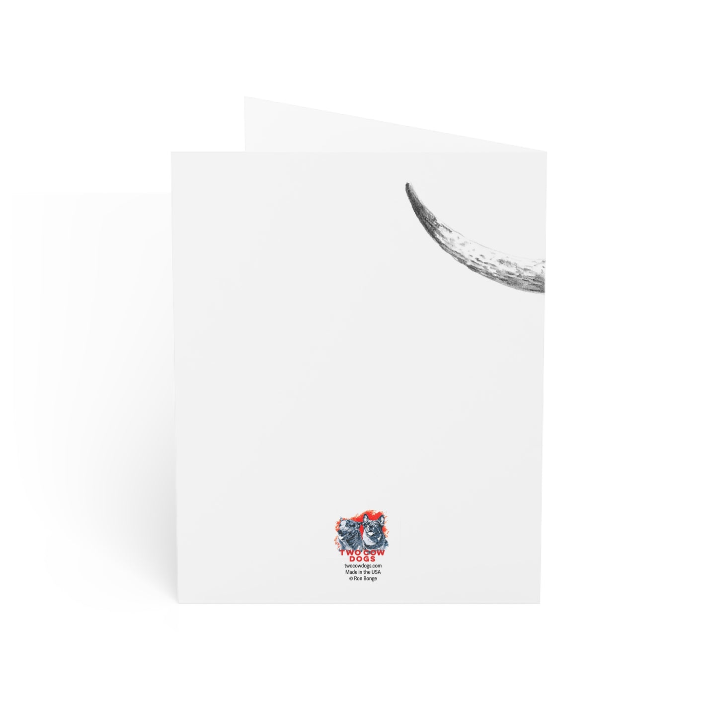Spotted Longhorn Notecards (envelopes included)