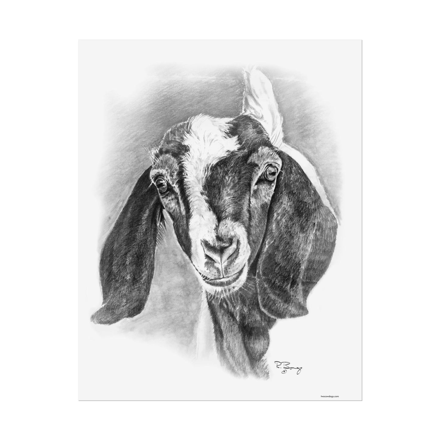 Boer Goat, Custom Print