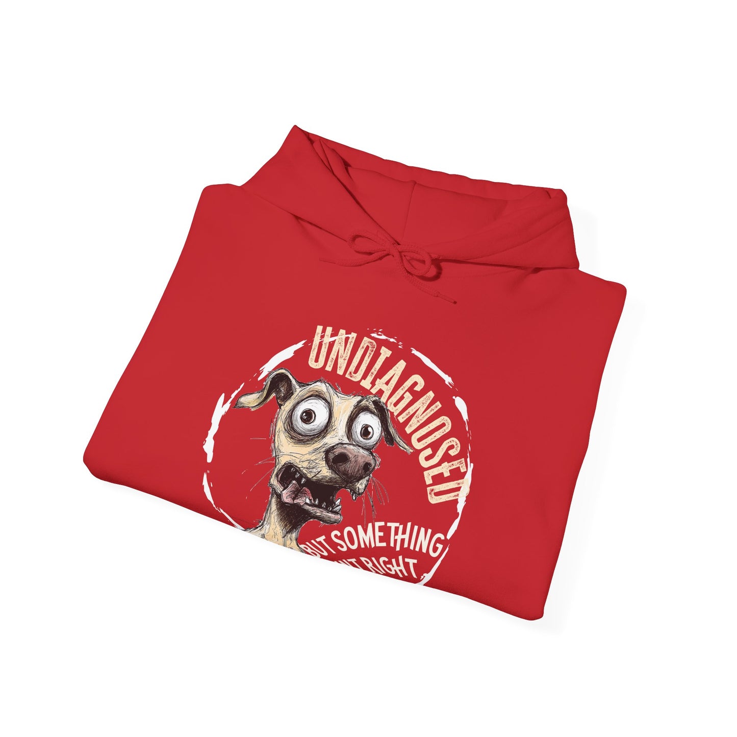 Undiagnosed But Aint Right Hoodie