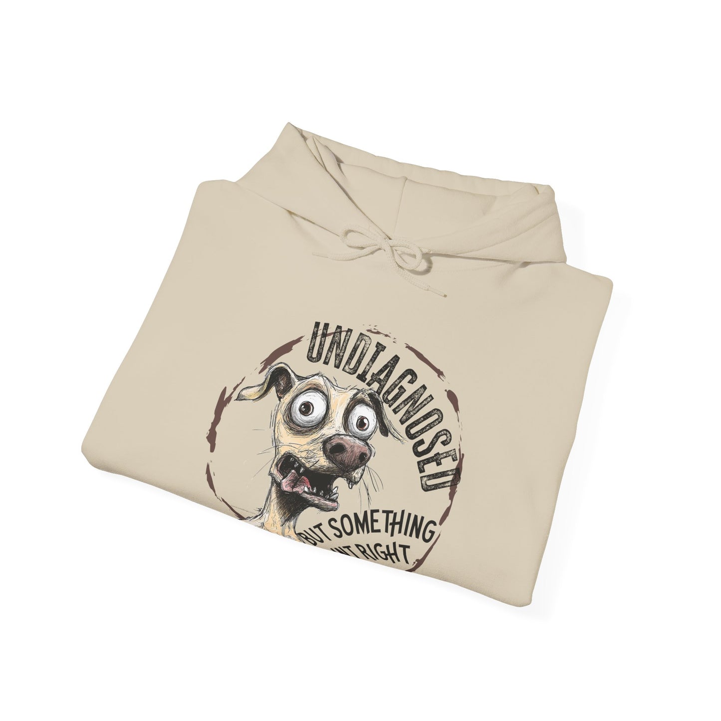 Undiagnosed But Aint Right Hoodie