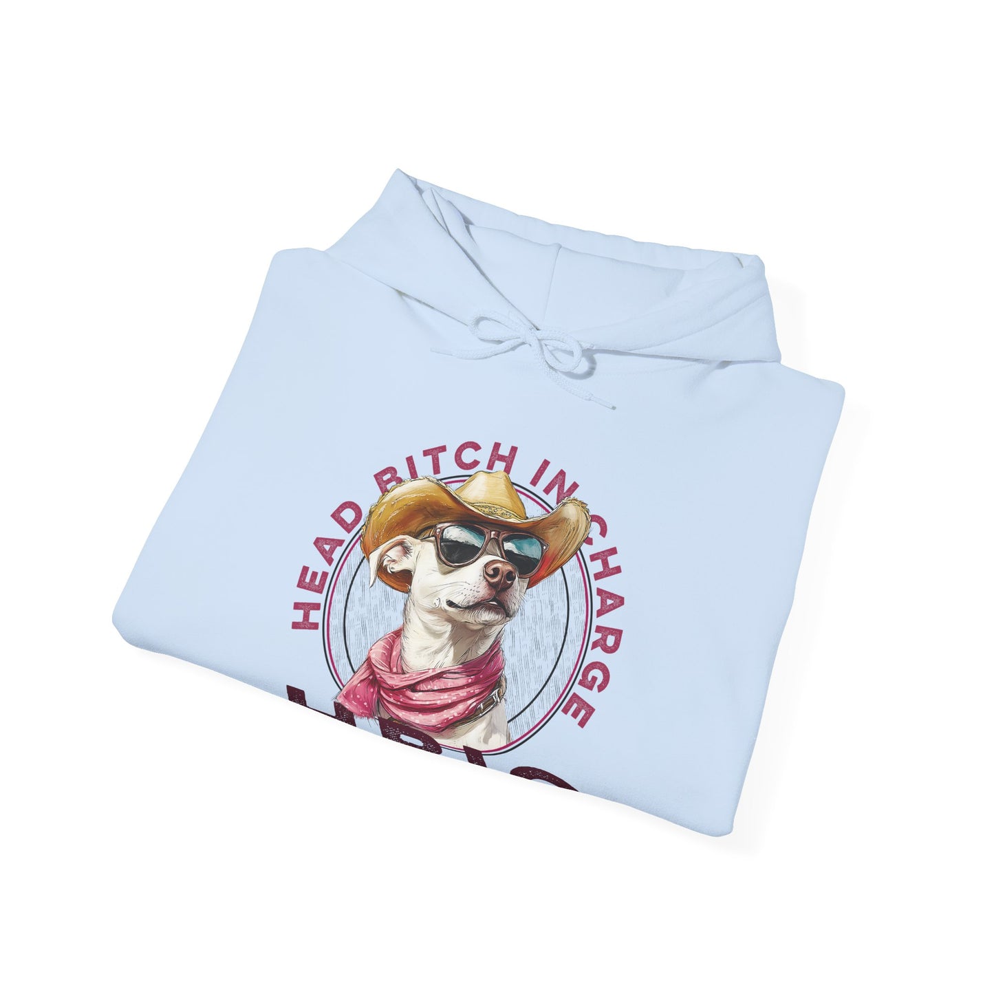 Hooded Sweatshirt HBIC Head Bitch in Charge Design