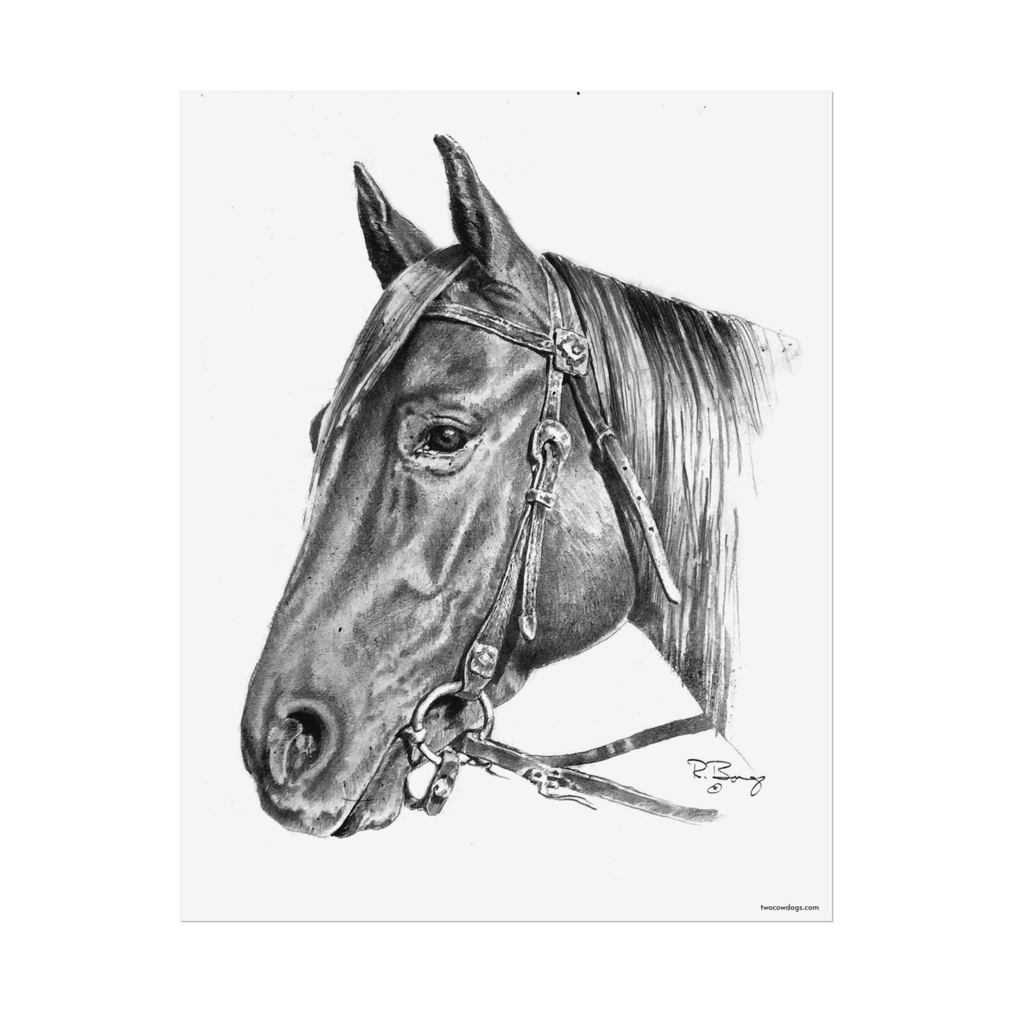 Horse Head, Custom Print
