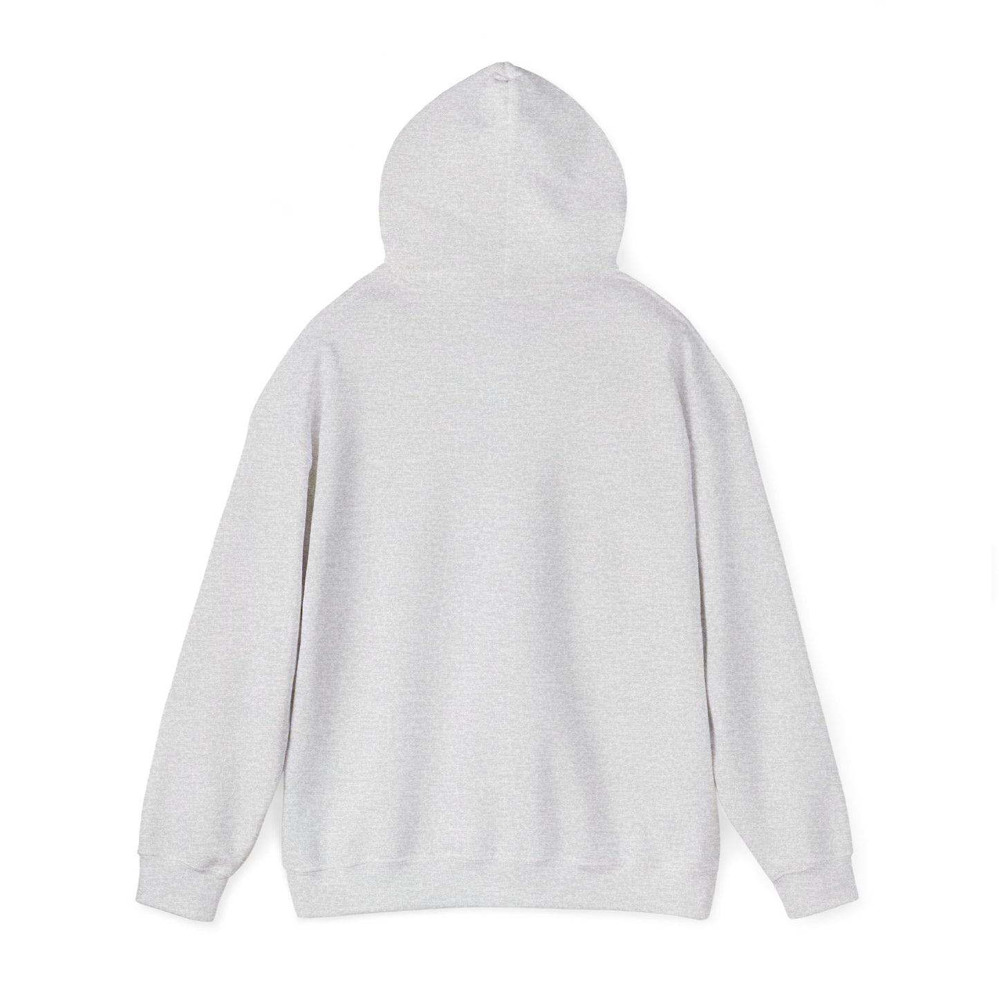 Undiagnosed But Aint Right Hoodie