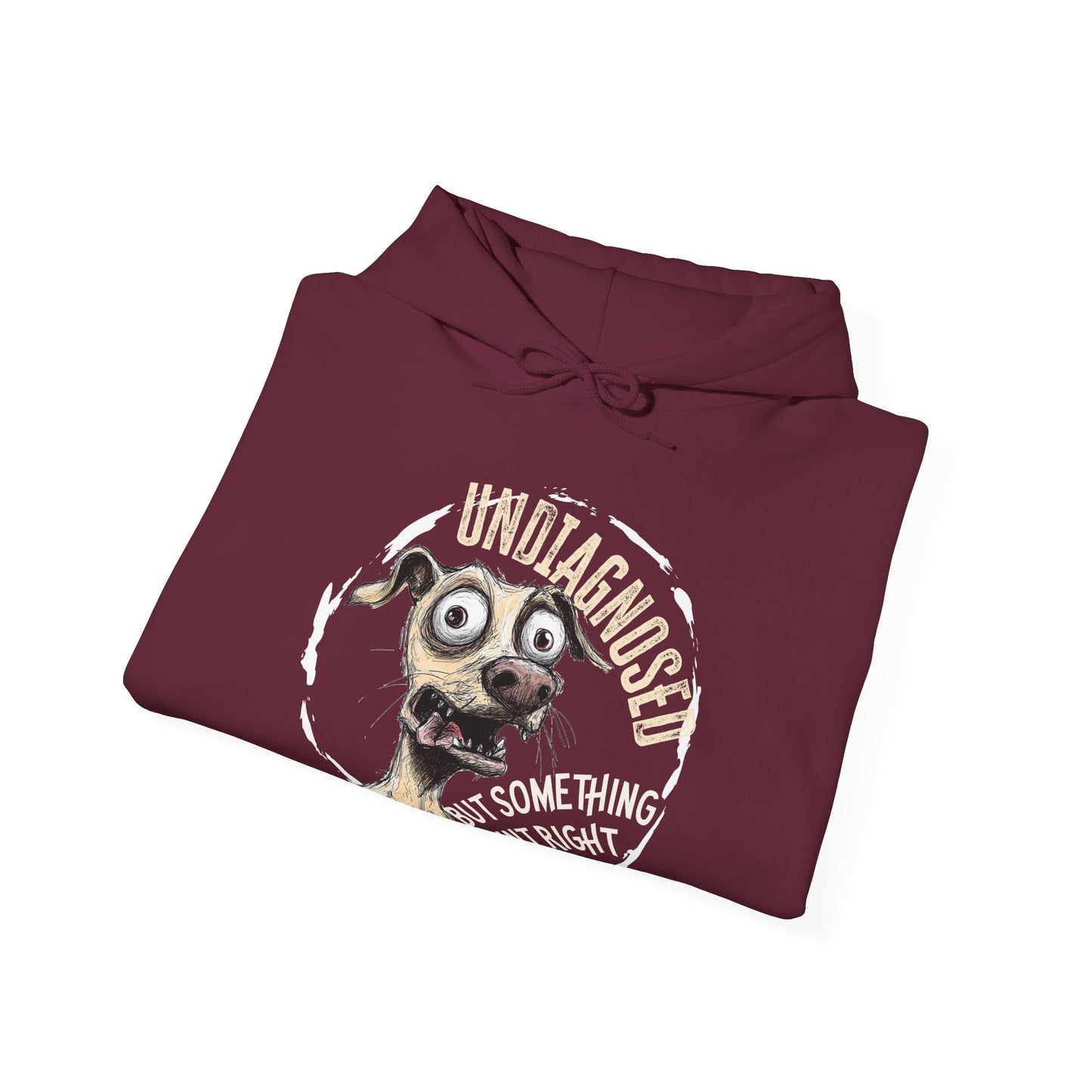 Undiagnosed But Aint Right Hoodie