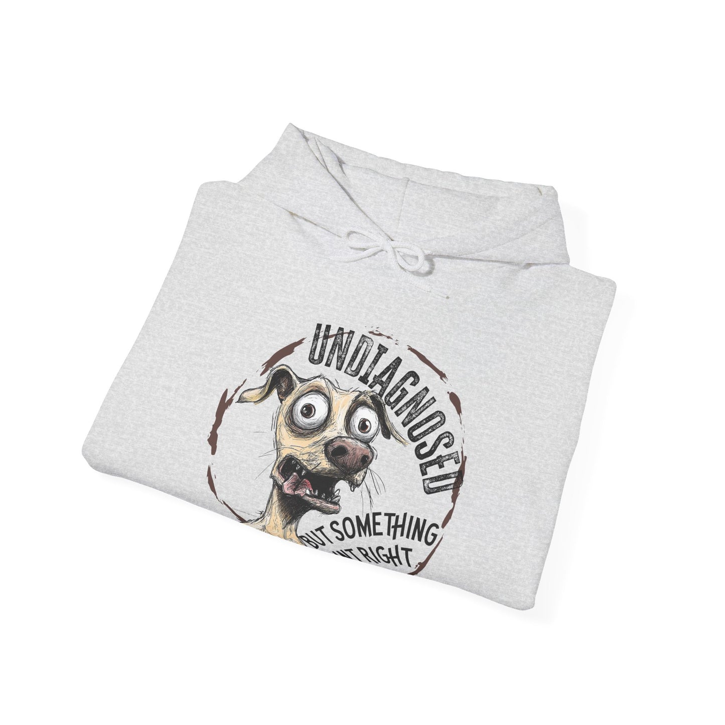 Undiagnosed But Aint Right Hoodie