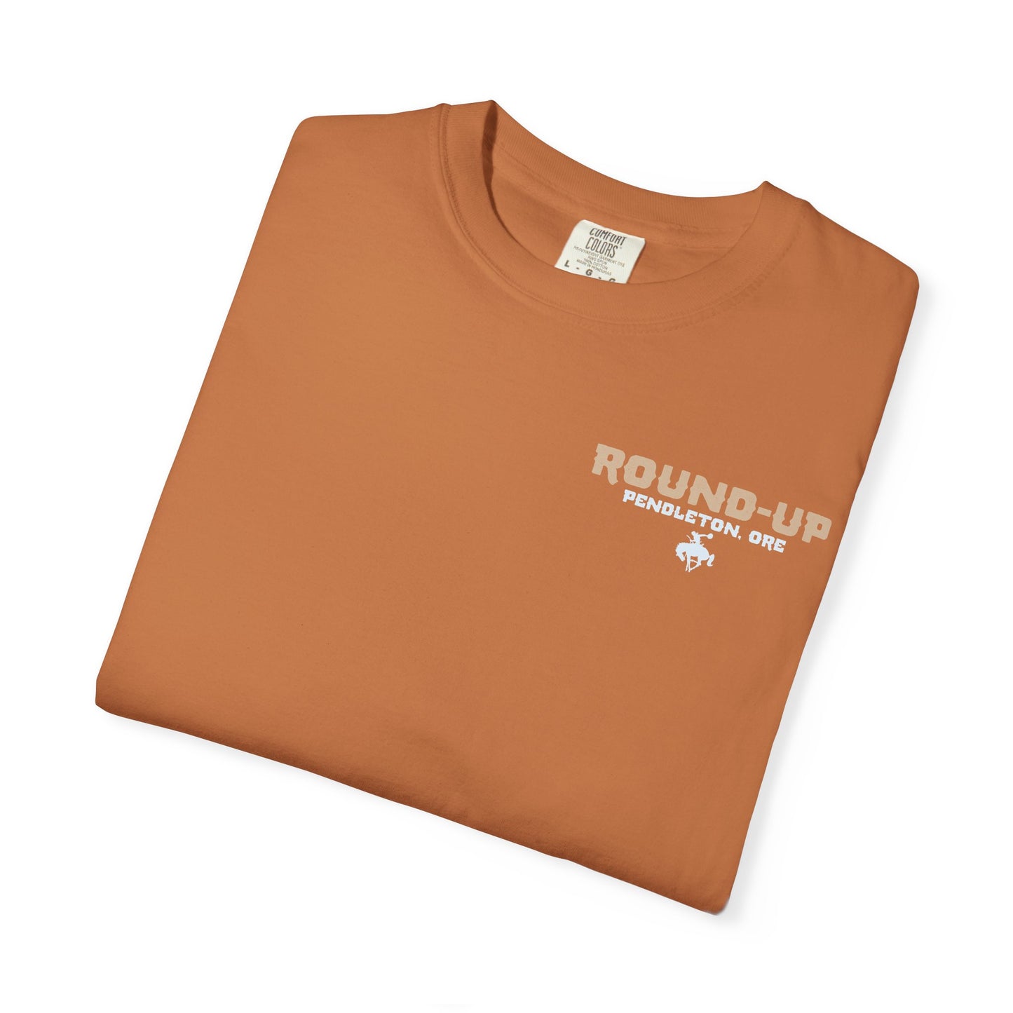 Vintage Rodeo Round-Up Pendleton T-Shirt, Front and Back