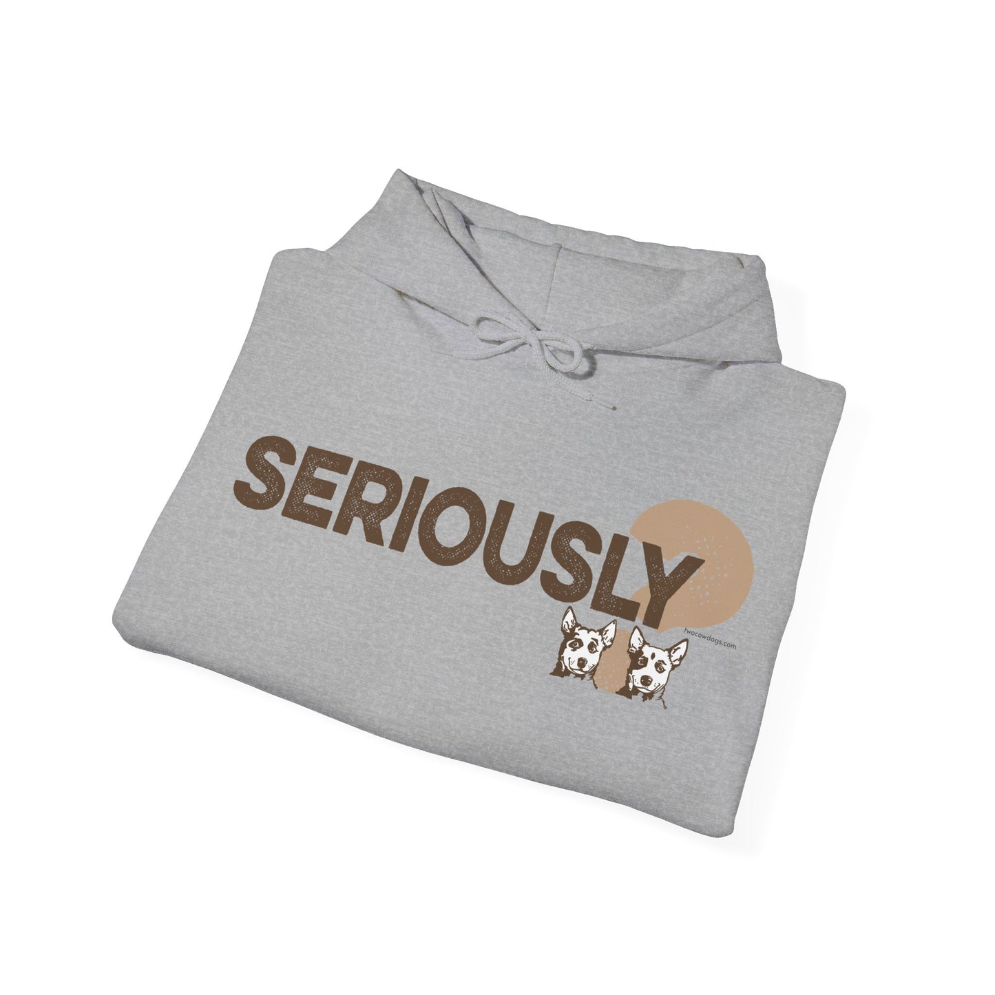 SERIOUSLY?, Heavy-Blend Hooded Sweatshirt