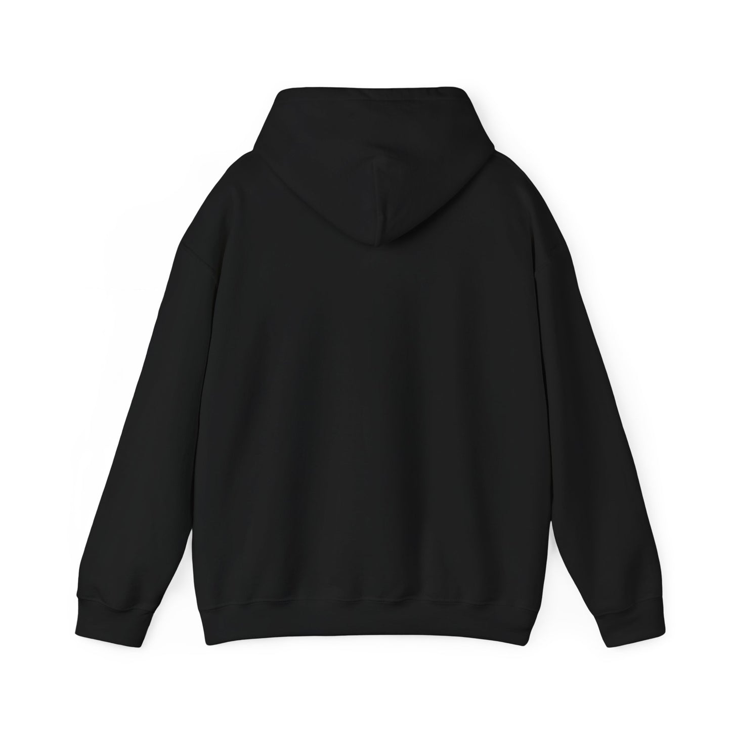 Undiagnosed But Aint Right Hoodie
