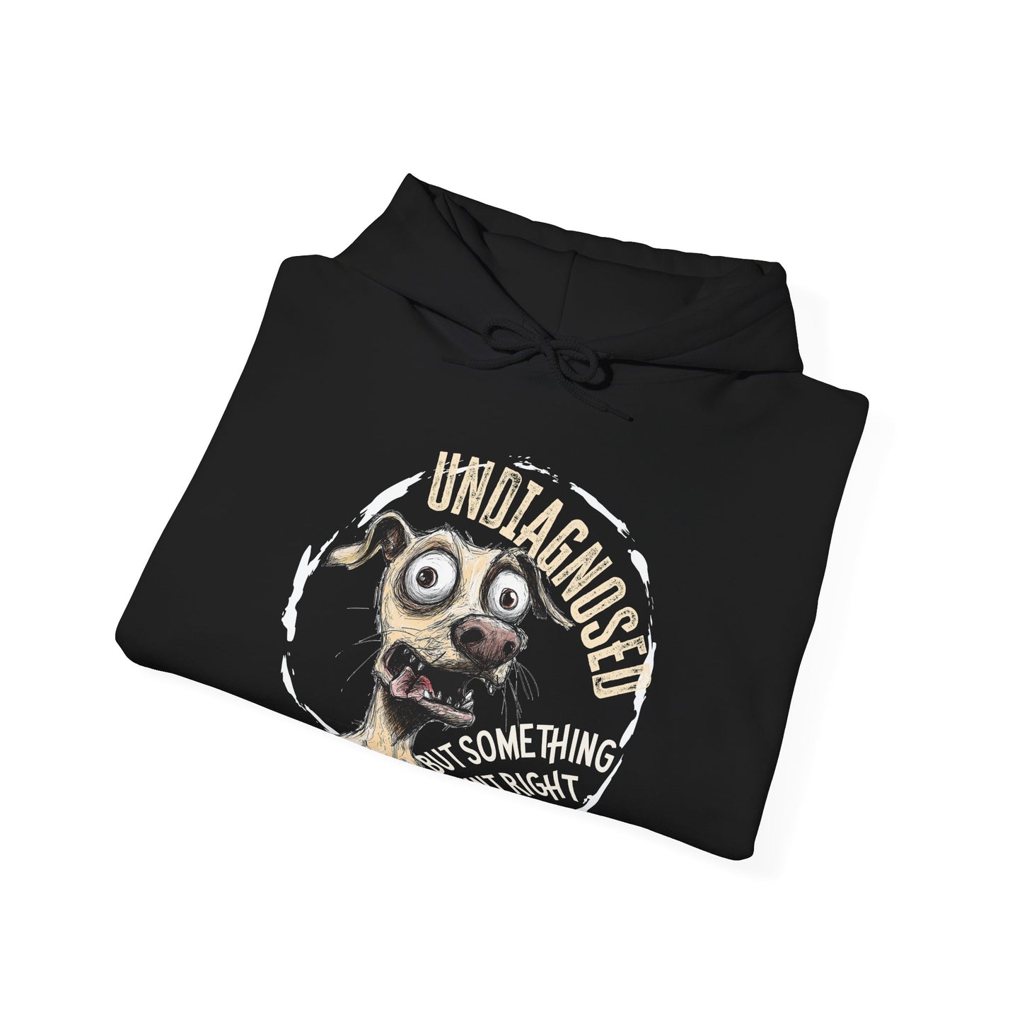 Undiagnosed But Aint Right Hoodie