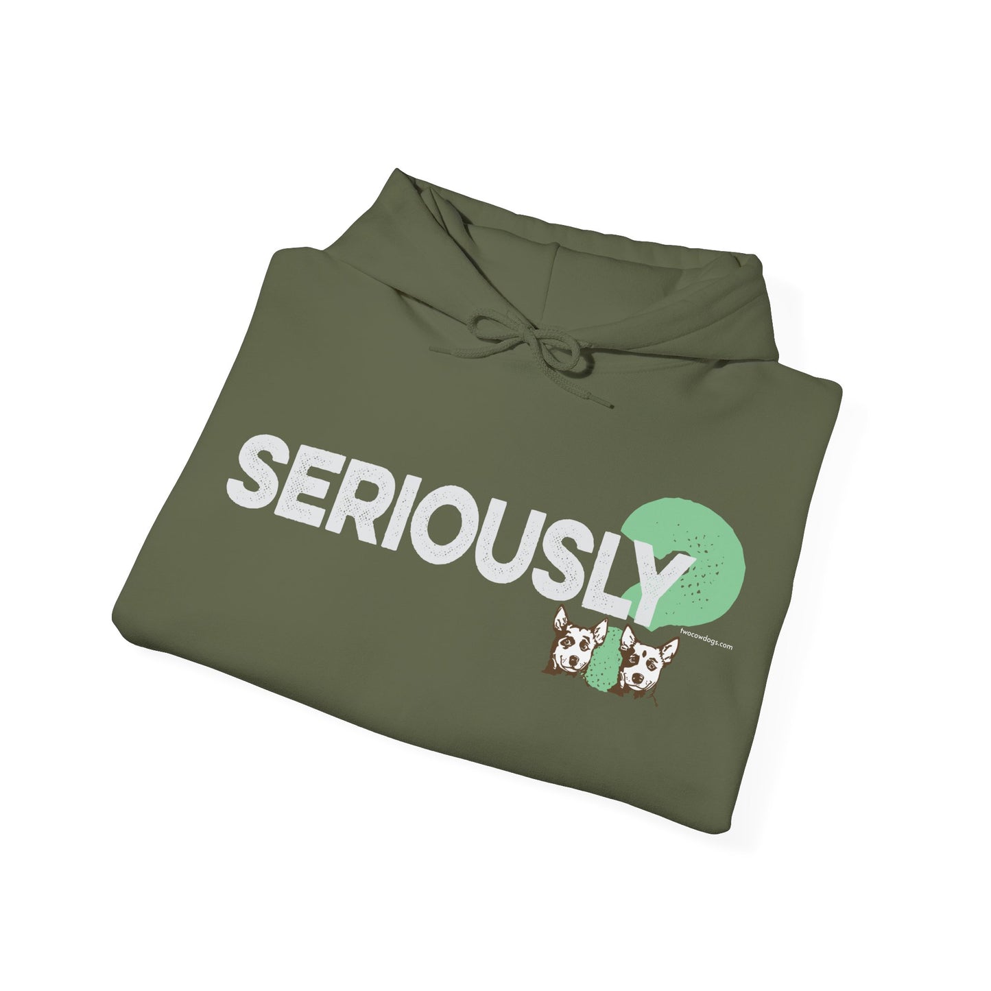 SERIOUSLY?, Heavy-Blend Hooded Sweatshirt