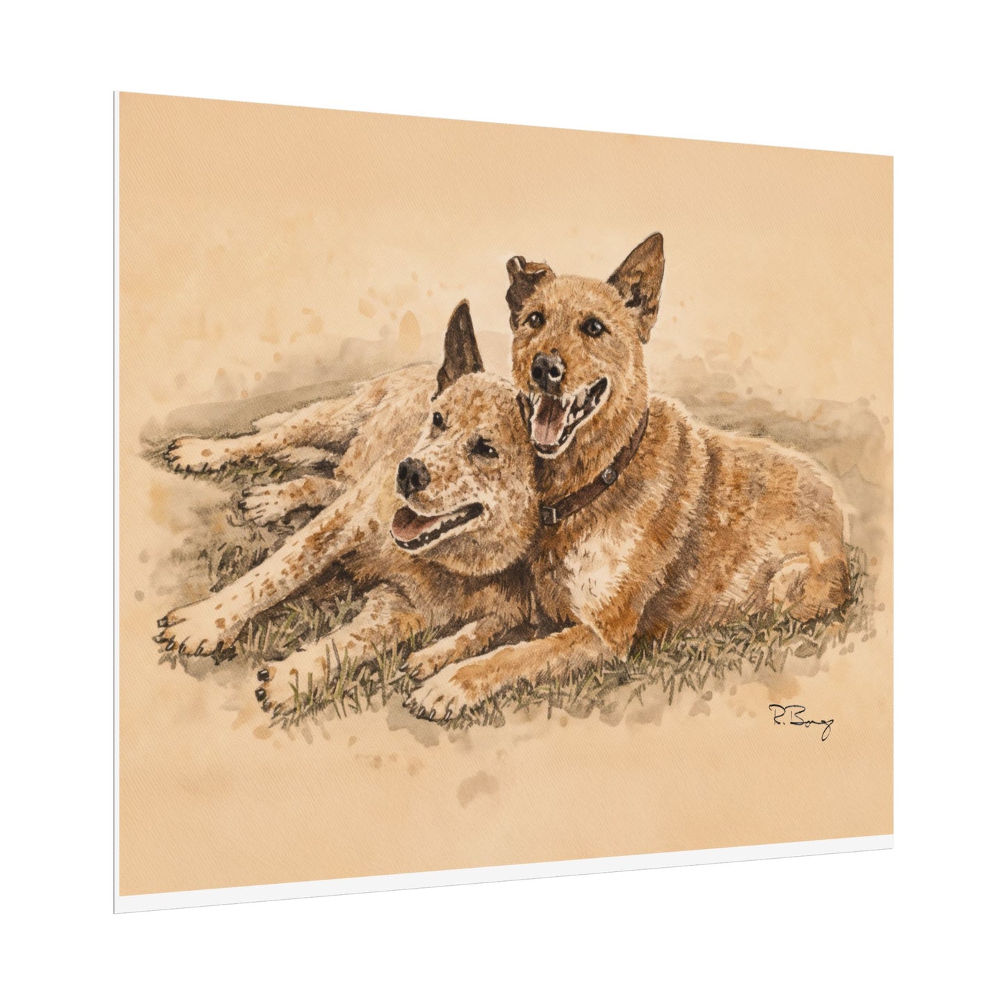 Two Cow Dogs Watercolor Print