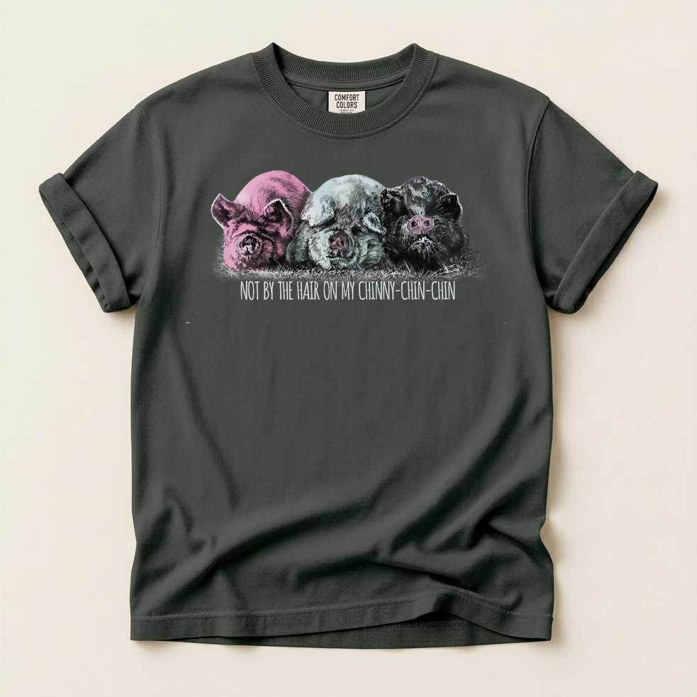 3 Little Pigs T-Shirt — Kids Storybook Fairytale Tee