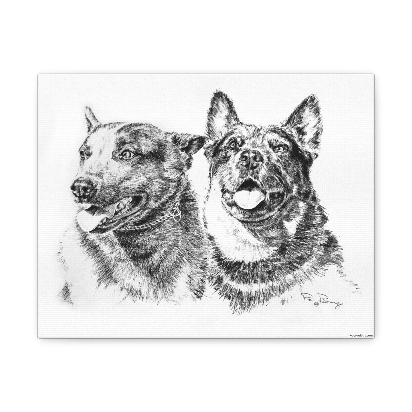 Two Cowdogs Stretched Canvas