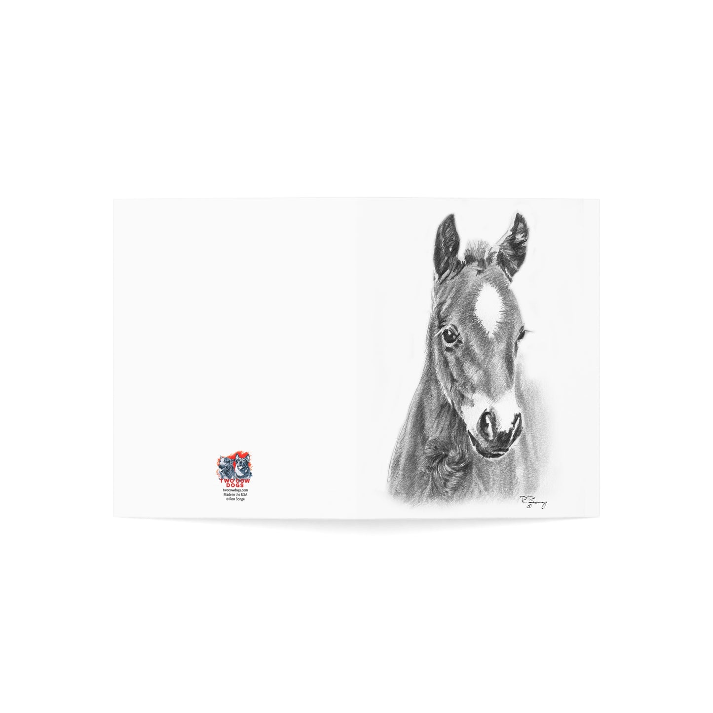 Star Foal Blank Notecards (envelopes included)
