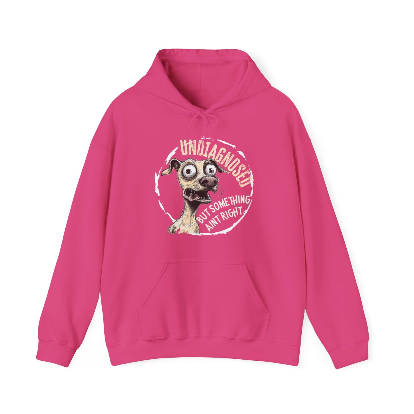 Undiagnosed But Aint Right Hoodie