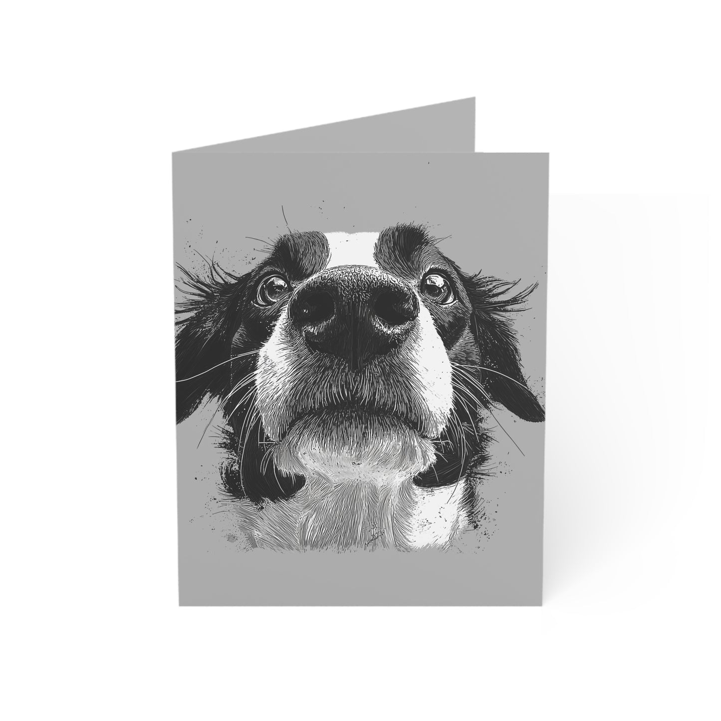 The Big Nose Border Collie Blank Notecards