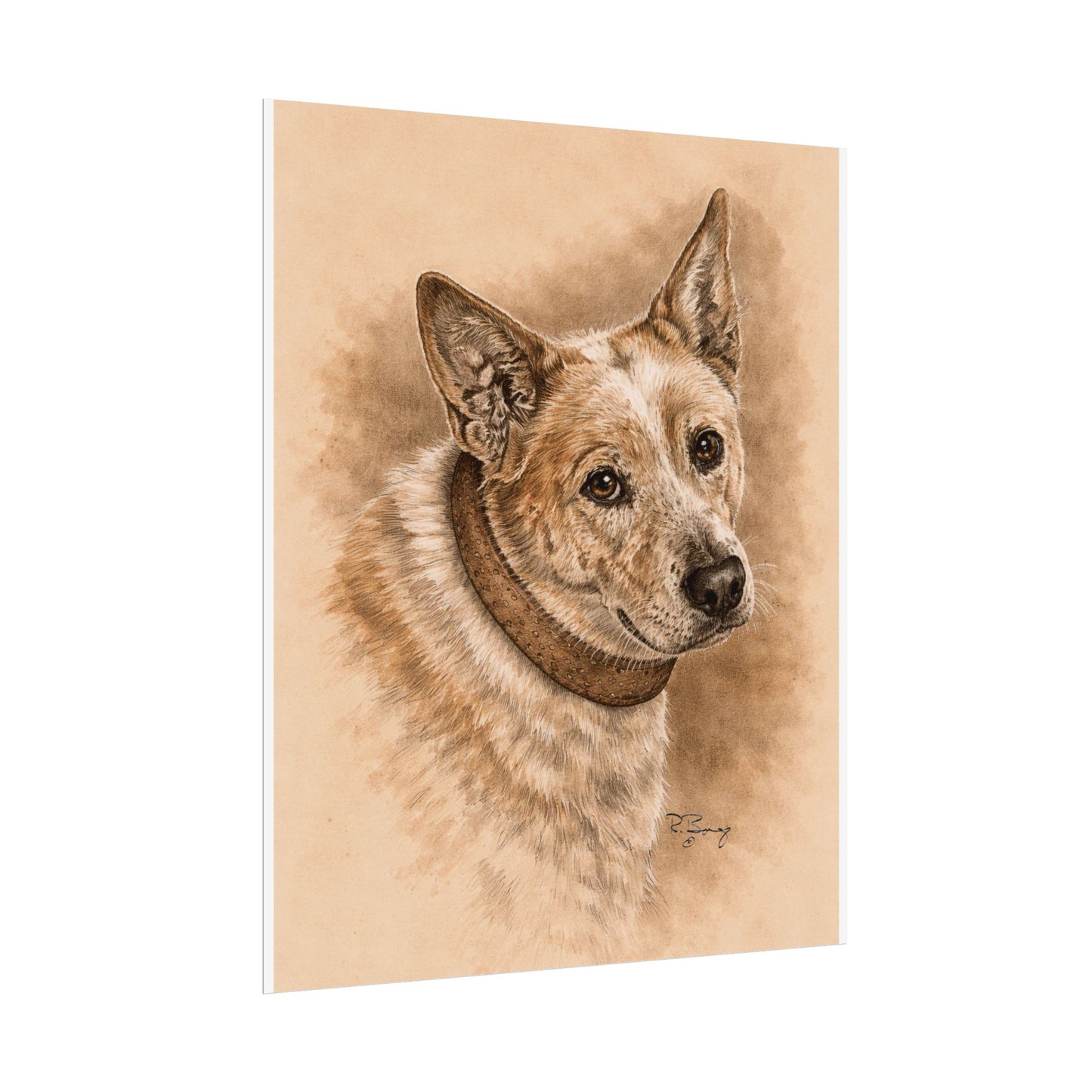 Australian Cattle Dog (Heeler) Archival Print
