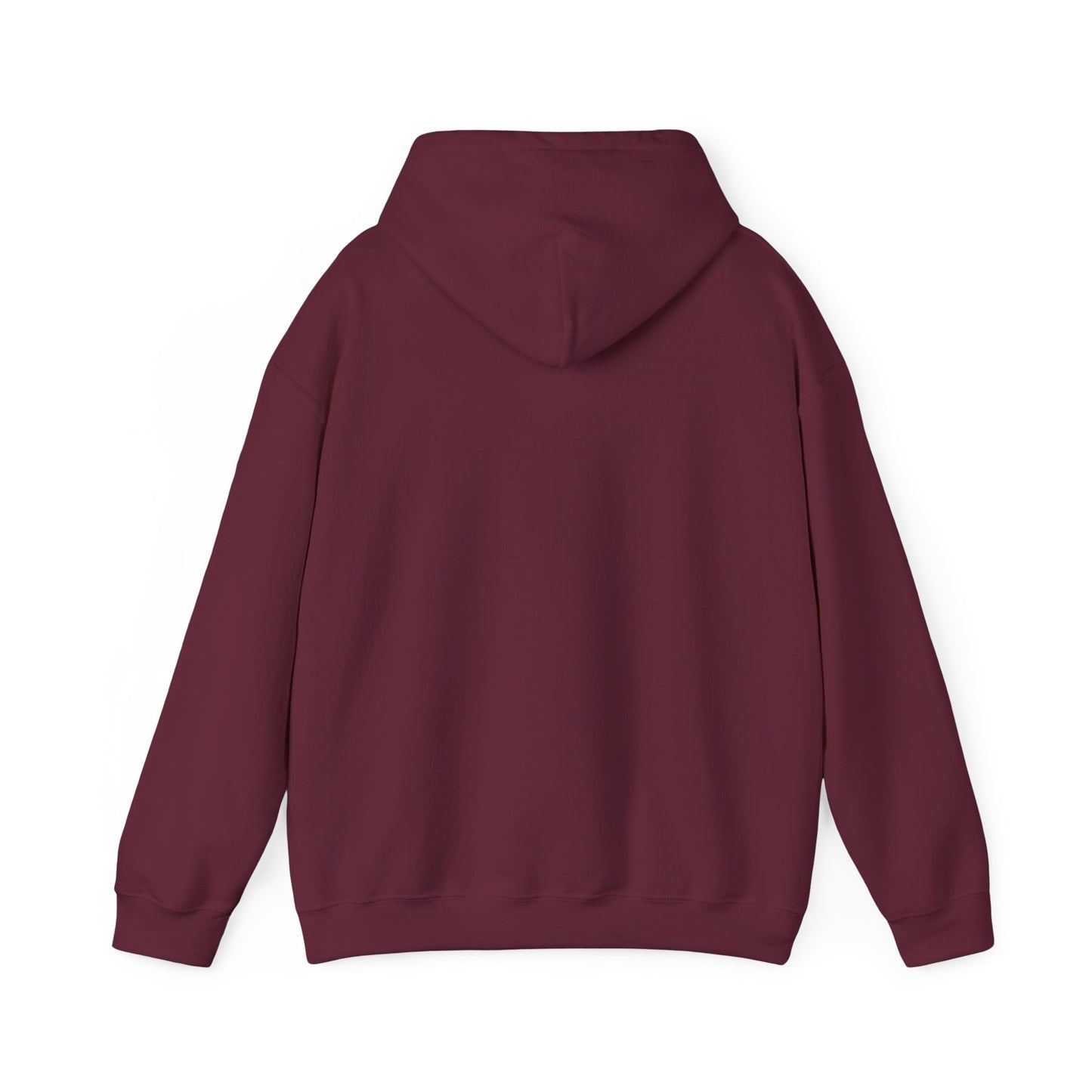 Undiagnosed But Aint Right Hoodie