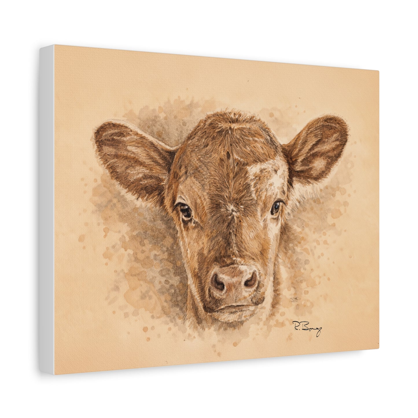 Calf Ears Stretched Canvas Print
