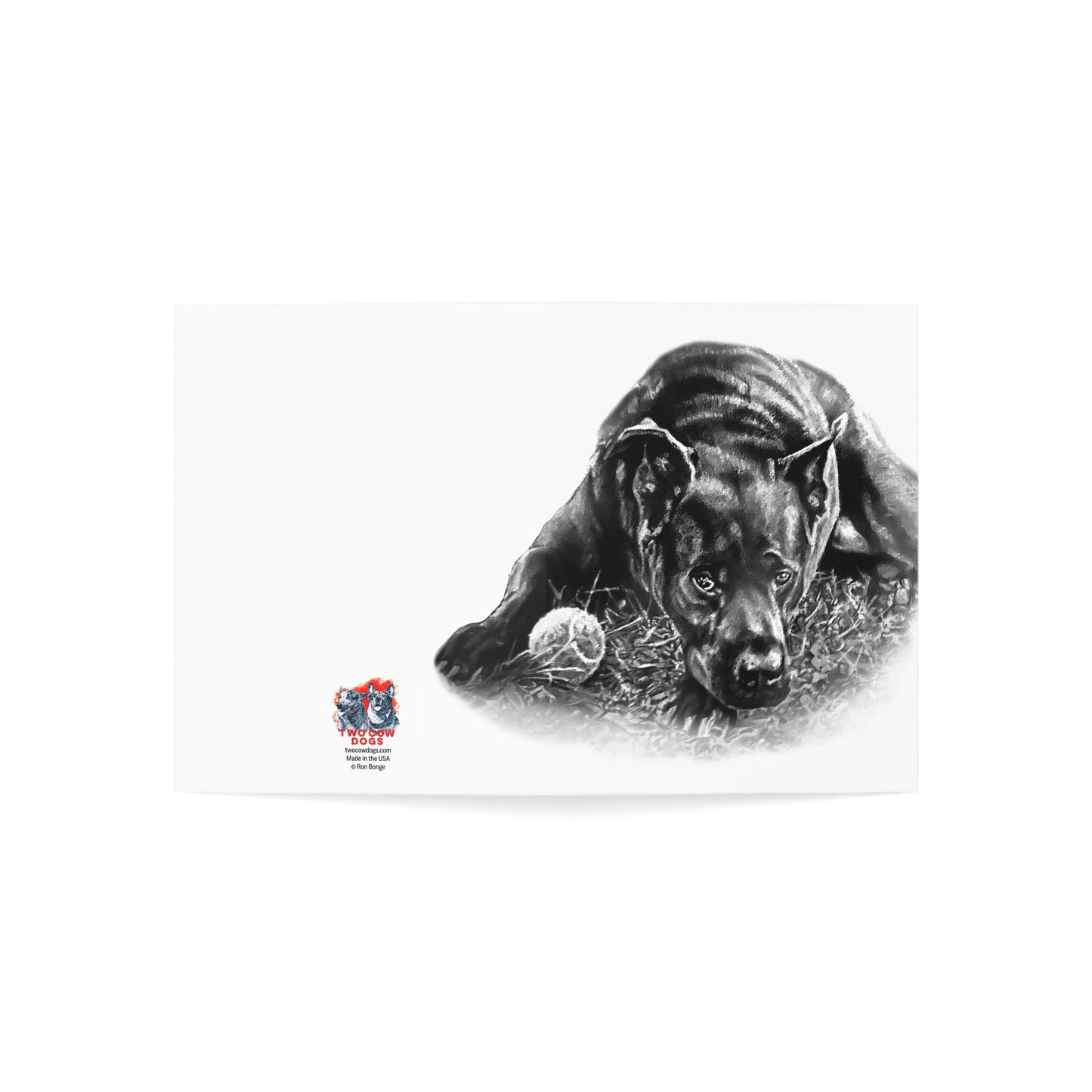 BDM Black Dog blank notecards