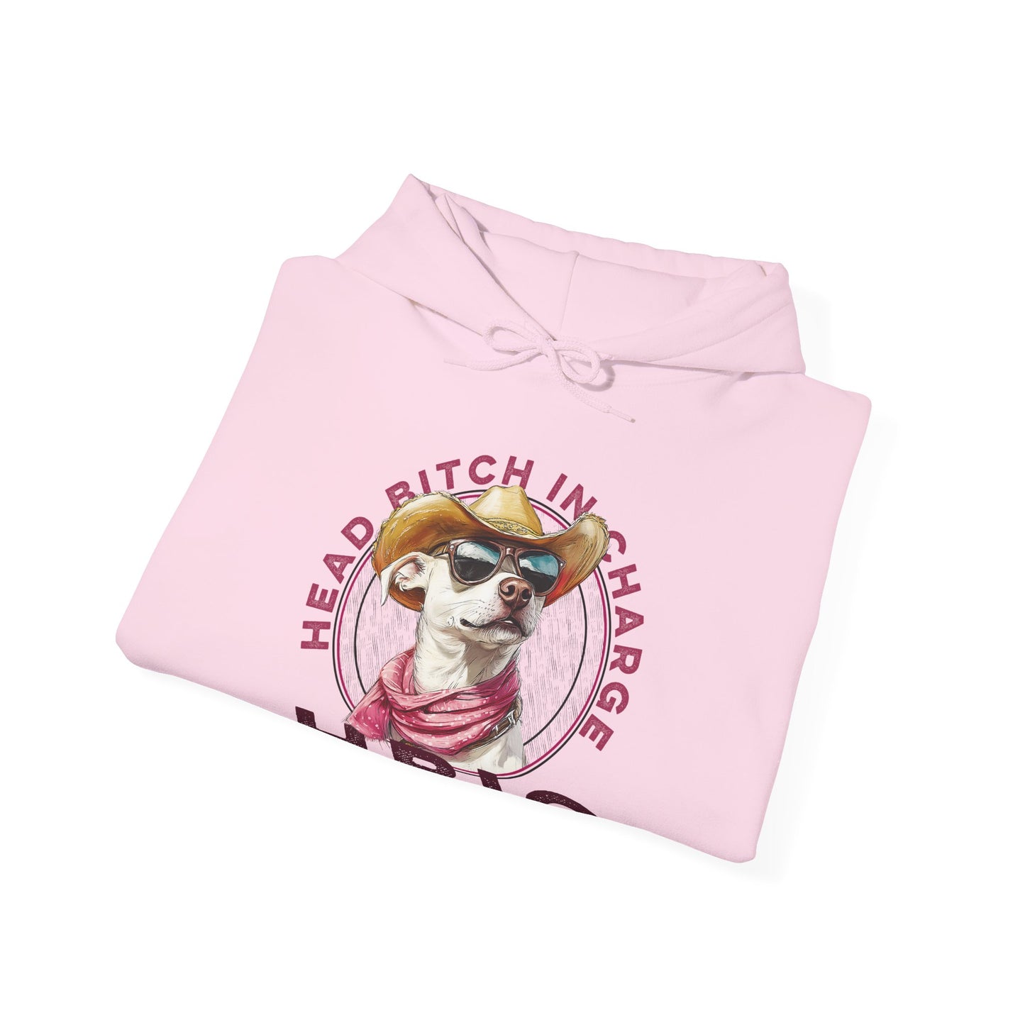 Hooded Sweatshirt HBIC Head Bitch in Charge Design