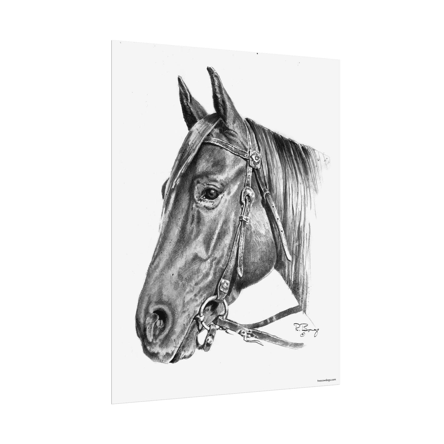 Horse Head, Custom Print