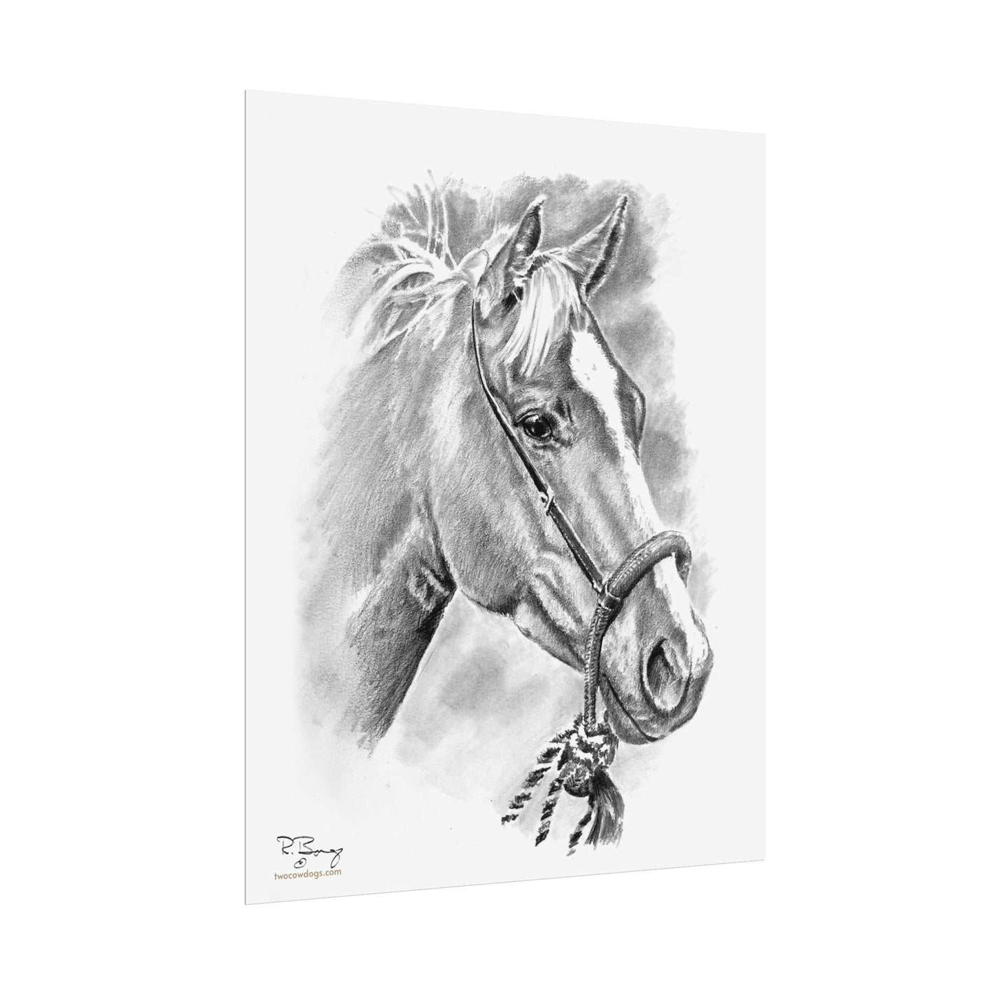 Vaquero Horse in Bosal Print