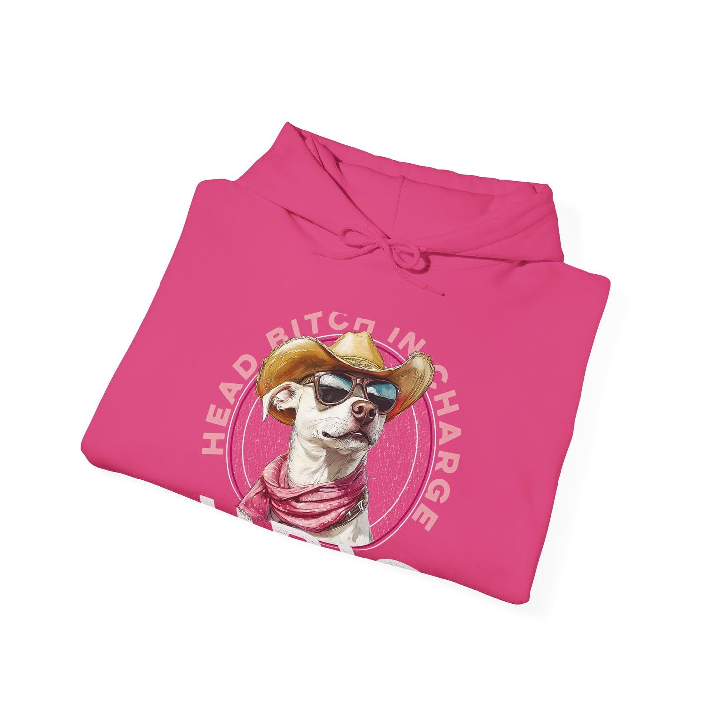 Hooded Sweatshirt HBIC Head Bitch in Charge Design