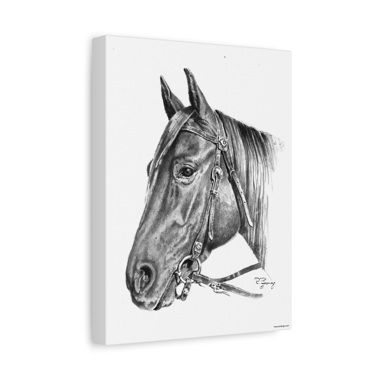 Horse Head, Custom Stretched Canvas
