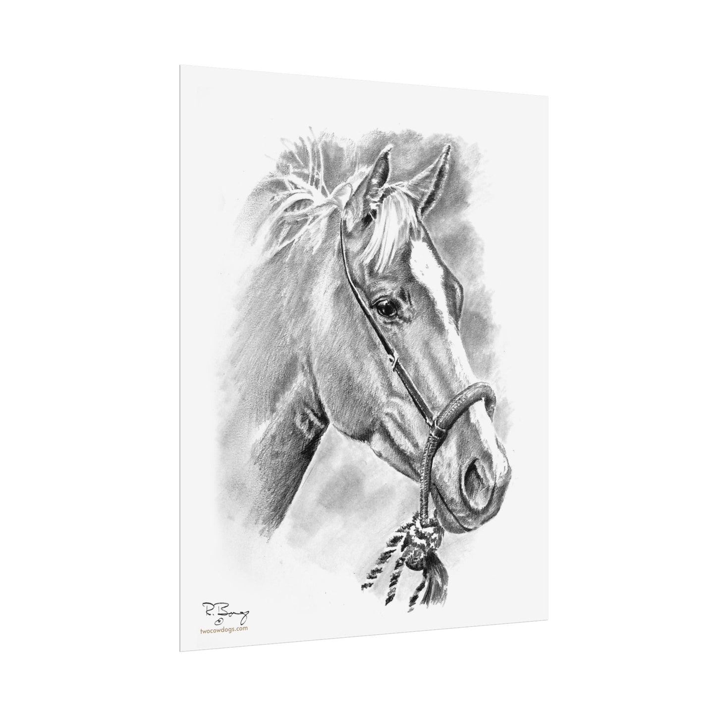 Vaquero Horse in Bosal Print