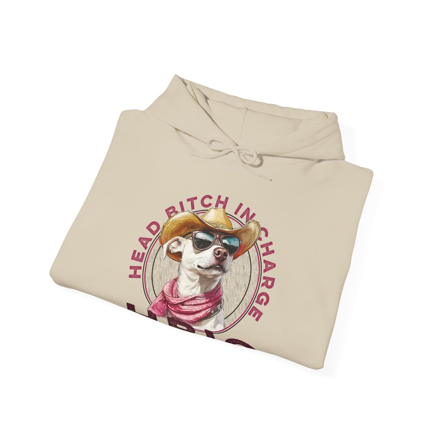 Hooded Sweatshirt HBIC Head Bitch in Charge Design