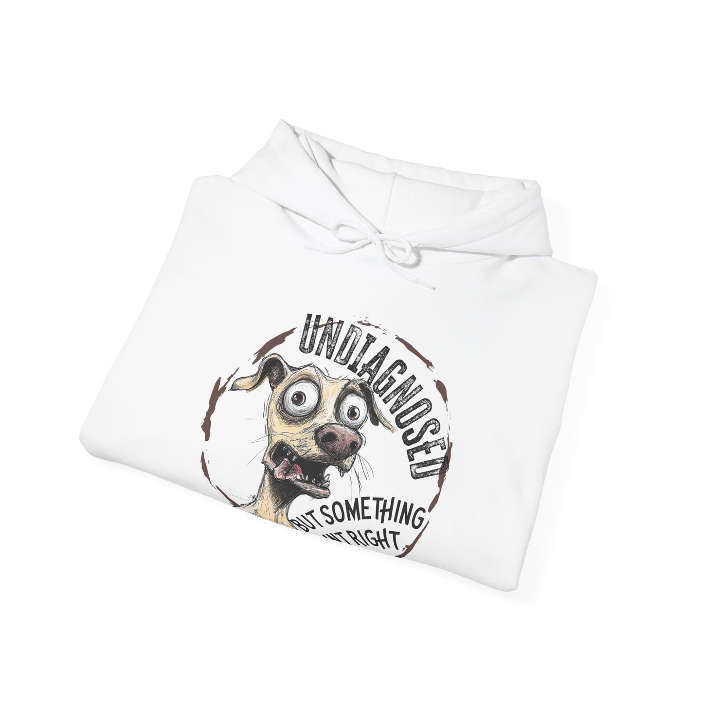 Undiagnosed But Aint Right Hoodie