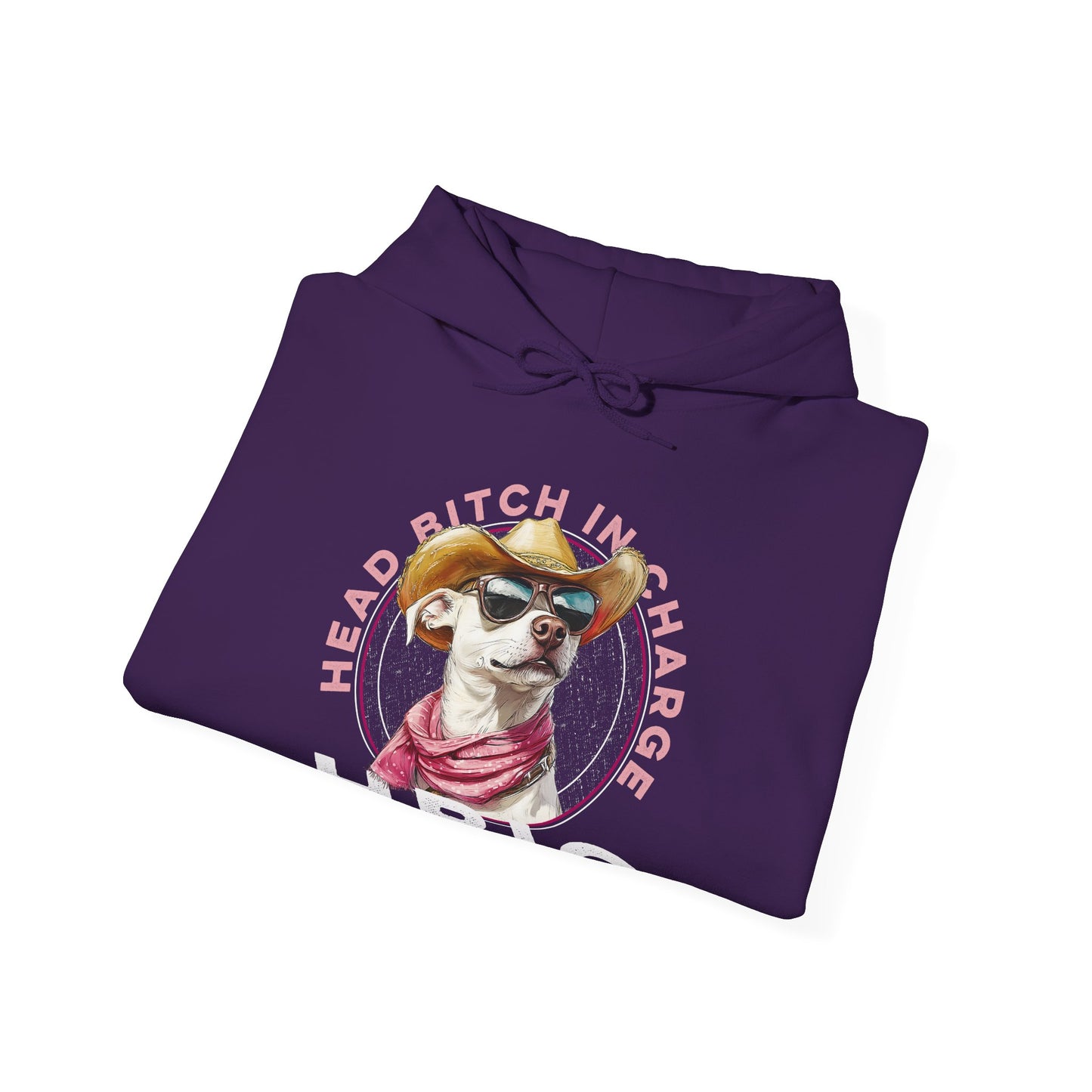 Hooded Sweatshirt HBIC Head Bitch in Charge Design