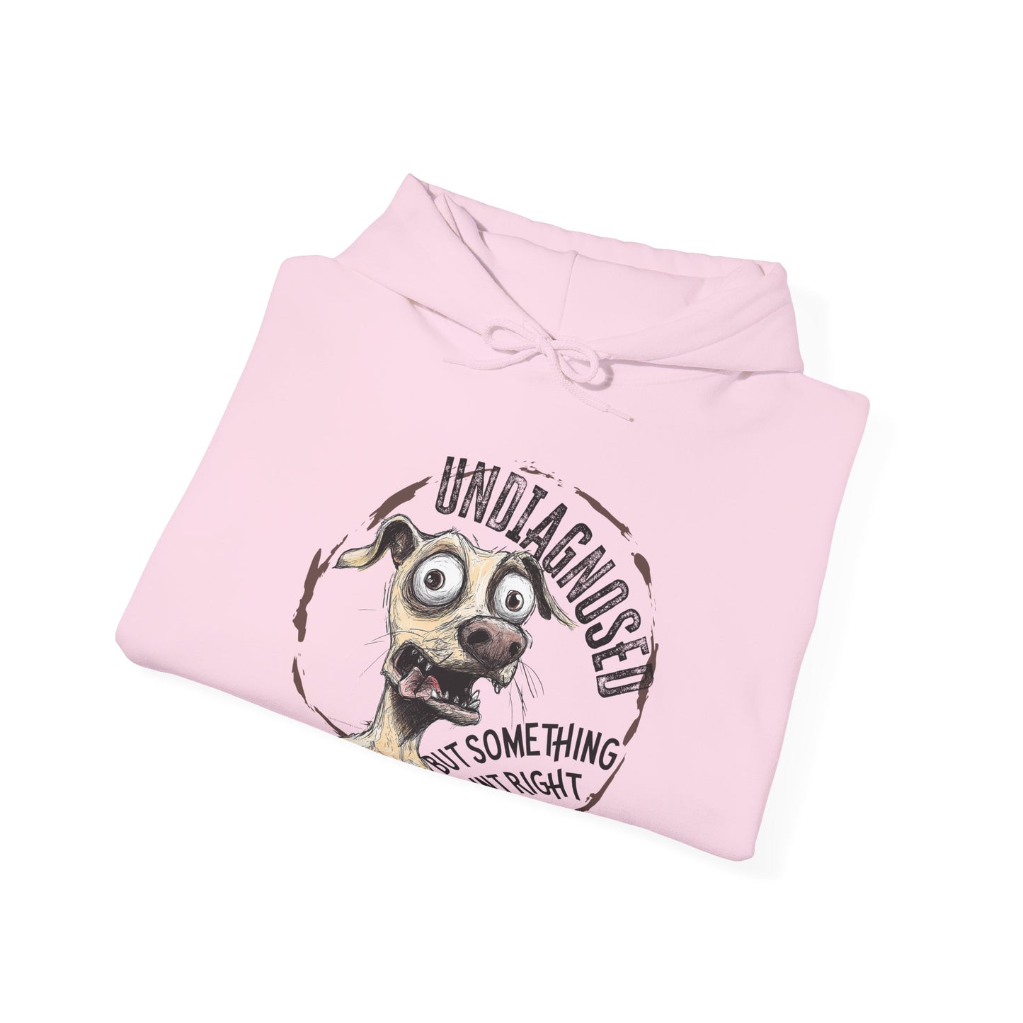 Undiagnosed But Aint Right Hoodie