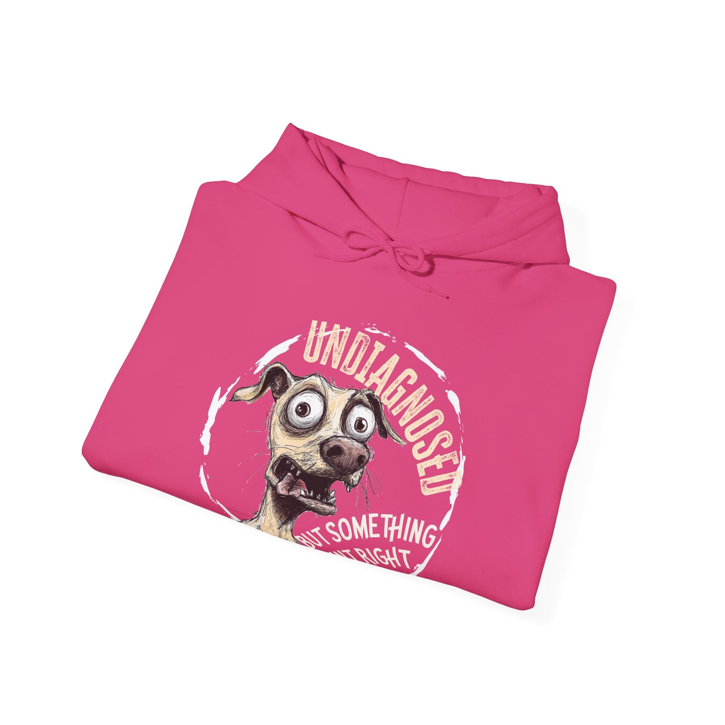 Undiagnosed But Aint Right Hoodie