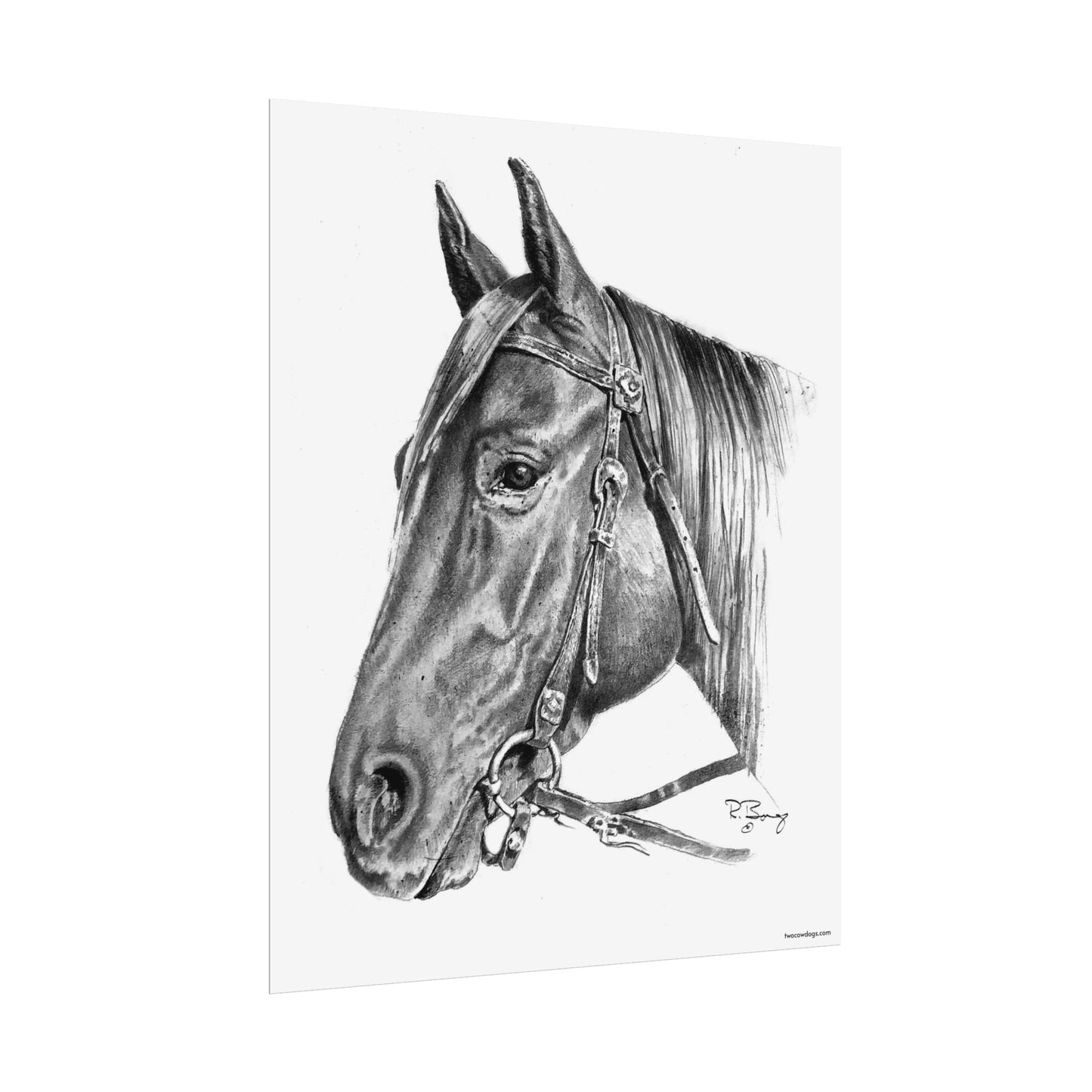 Horse Head, Custom Print