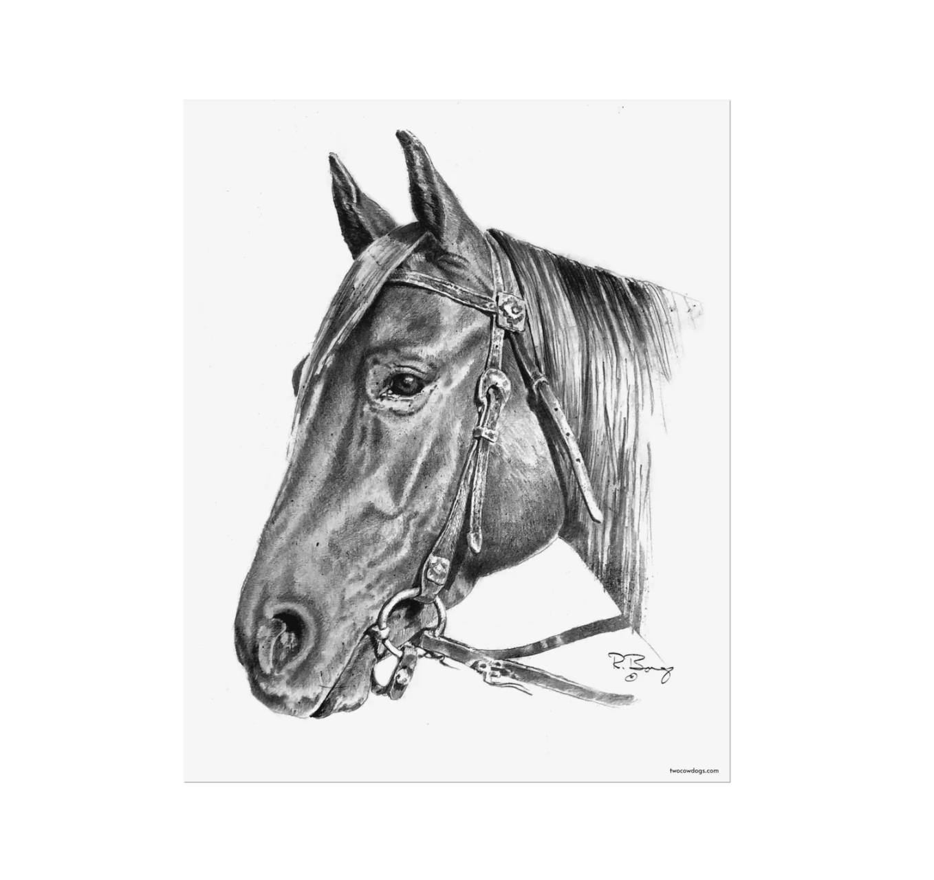 Archival Paper Prints