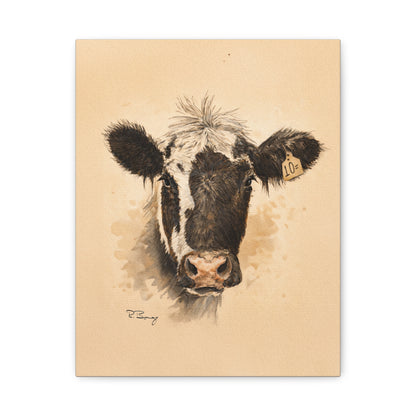 Scruffy Cow Portrait Stretched Canvas