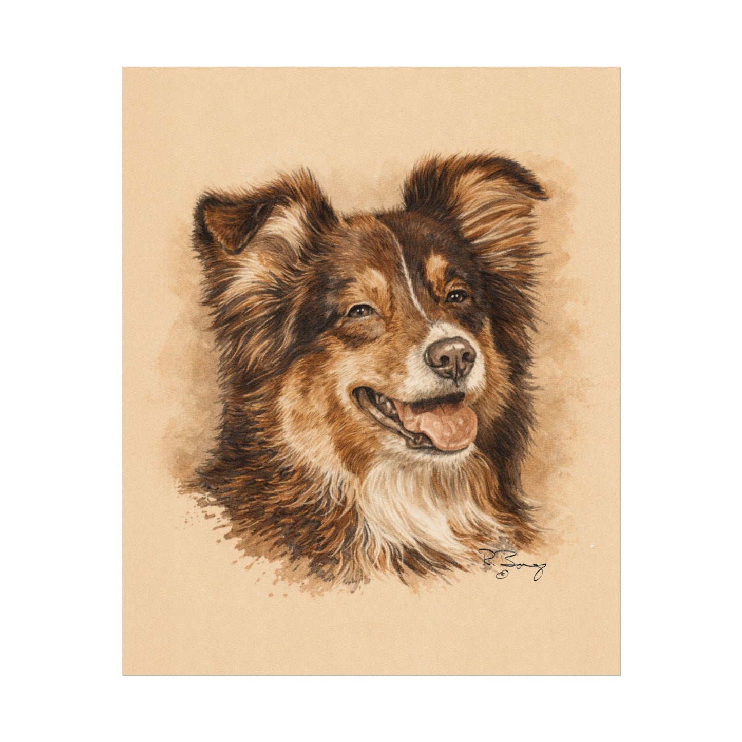 Toy Aussie Australian Shepherd Archival Paper Print