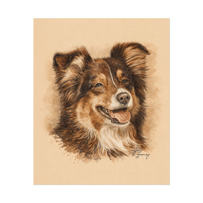 Toy Aussie Australian Shepherd Archival Paper Print