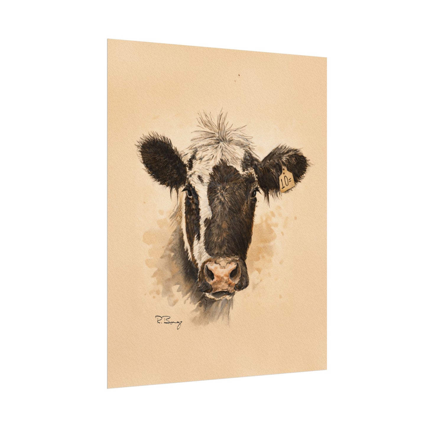 Scruffy Cow Portrait with Eartag Print