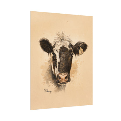 Scruffy Cow Portrait with Eartag Print