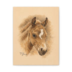 Lightning Colt Stretched Canvas Print — Matte 1.25"