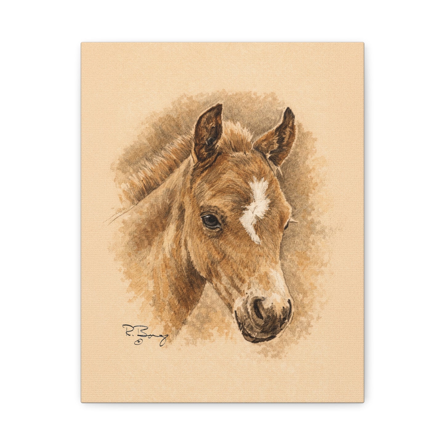 Lightning Colt Stretched Canvas Print